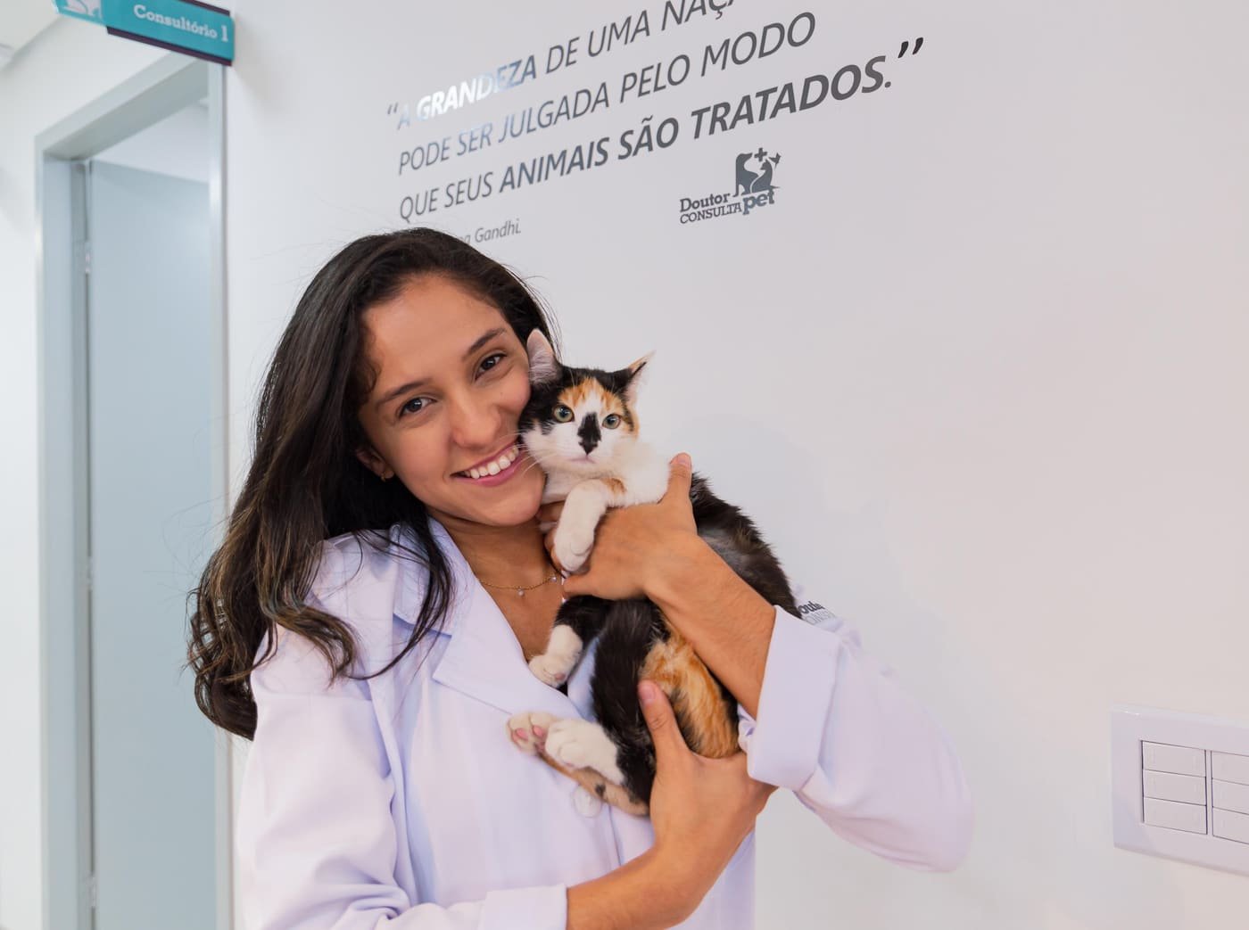 Atendimento cardiológico veterinário em clínica especializada